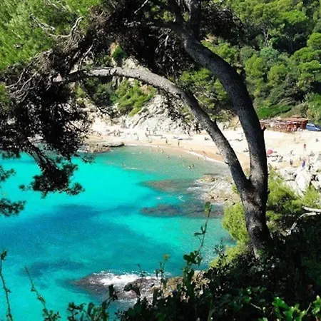 Lejlighed Al39 - Atico Con Barbacoa Playa Fenals *